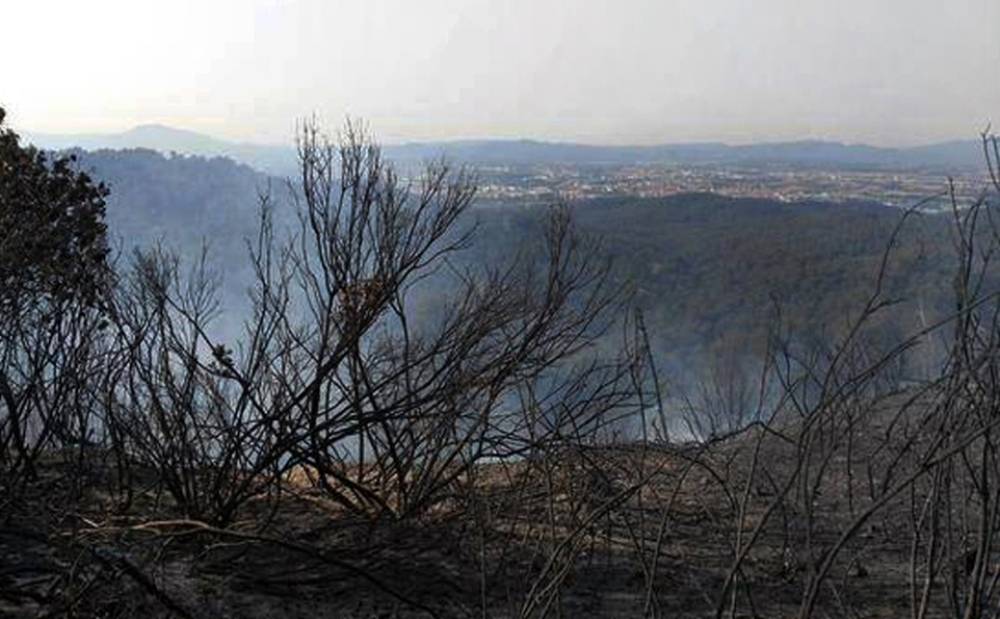 Collserola, en risc elevat d’incendi forestal