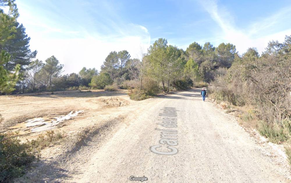 Sortida per conèixer la flora i la fauna de la serra de Galliners