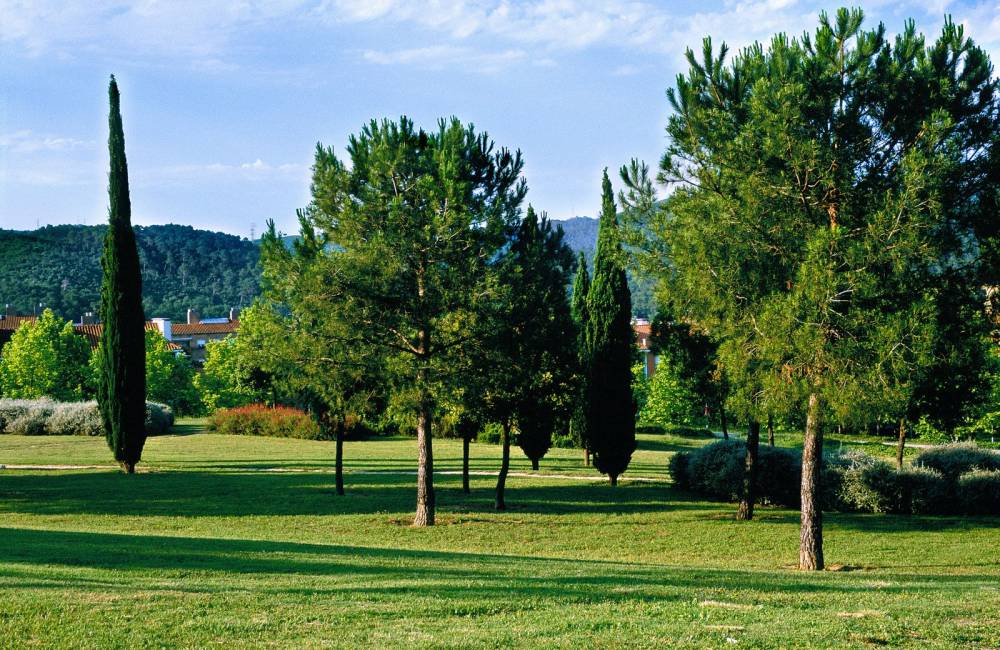 Els parcs metropolitans, més adaptats a futures sequeres extremes