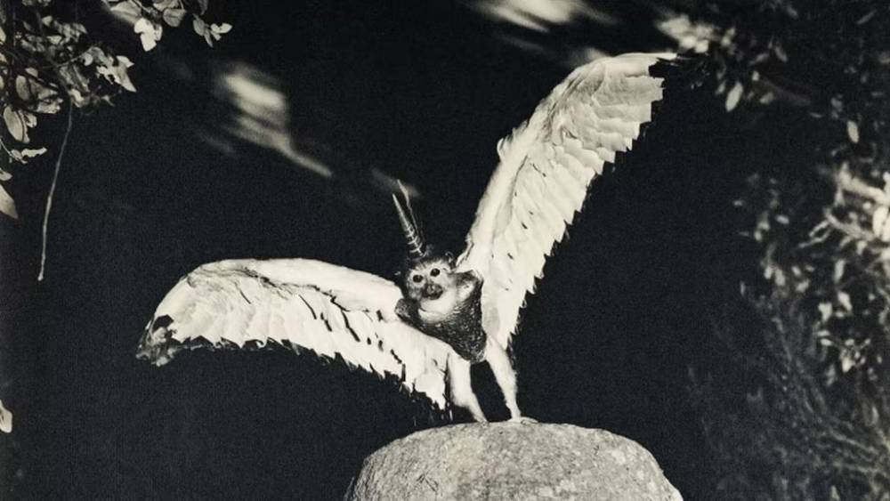 Cosmogonia de les imatges: exposició de Joan Fontcuberta a la UAB