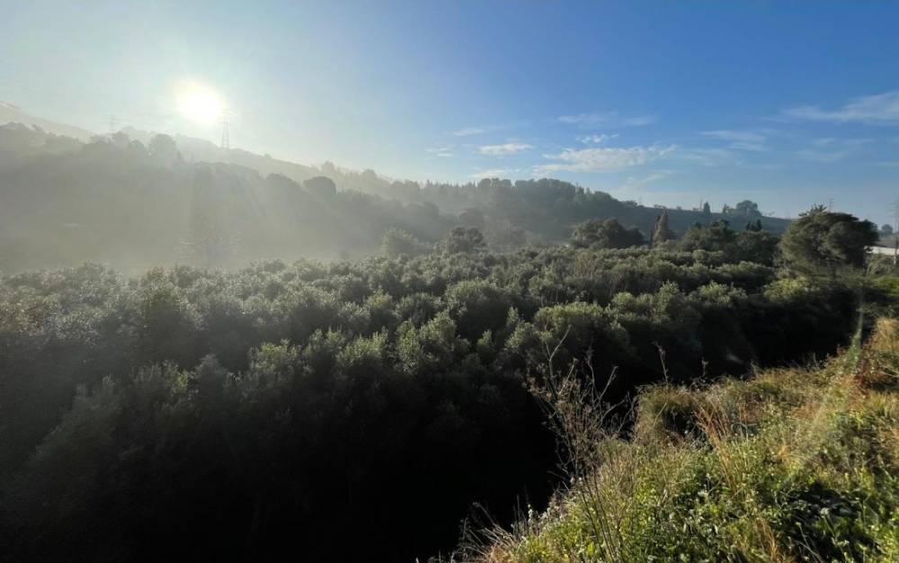 Un projecte de recuperació agrícola detecta a Cerdanyola espais susceptibles de formar part d’un mosaic agroforestal