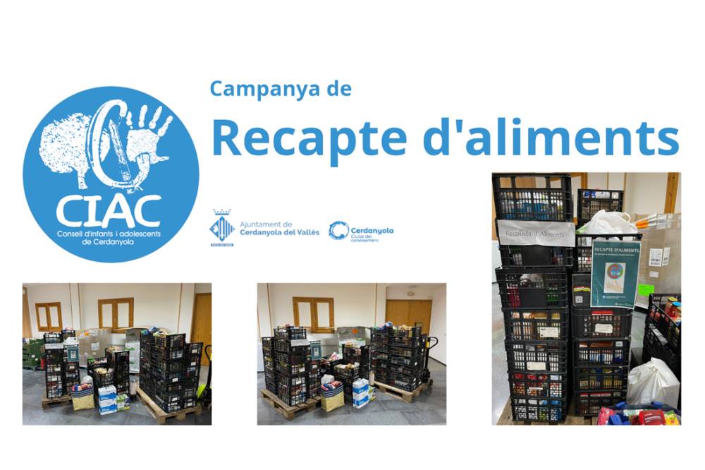 El Consell d’Infància i Adolescència finalitza el recapte d’aliments