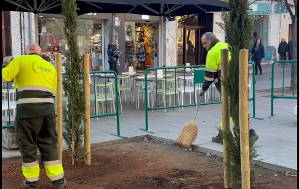 L’Ajuntament plantarà 120 arbres els propers mesos