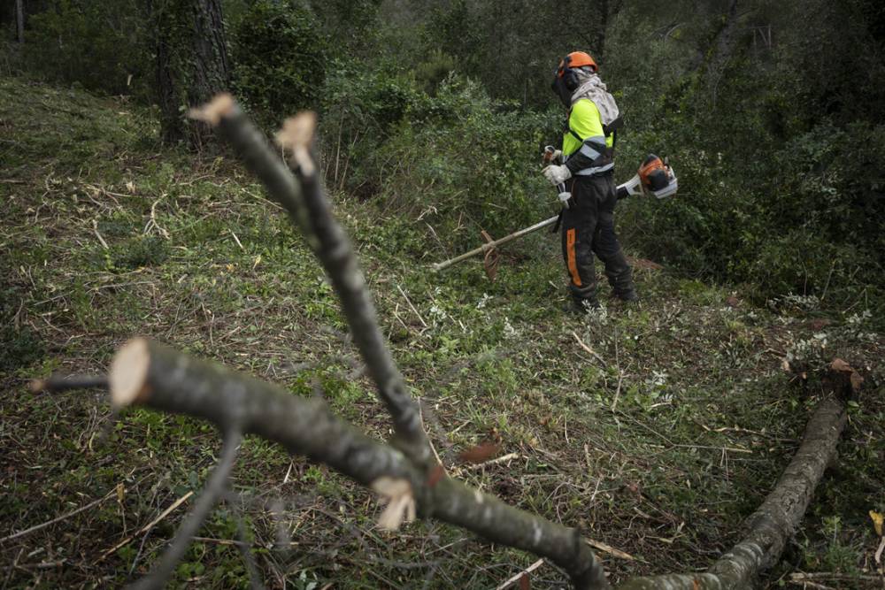 L'AMB impulsa la prevenció d'incendis als boscos metropolitans