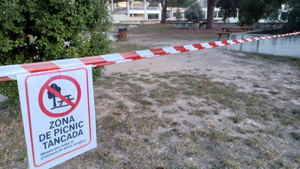 La UAB tanca les zones de pícnic per les mesures contra la pesta porcina