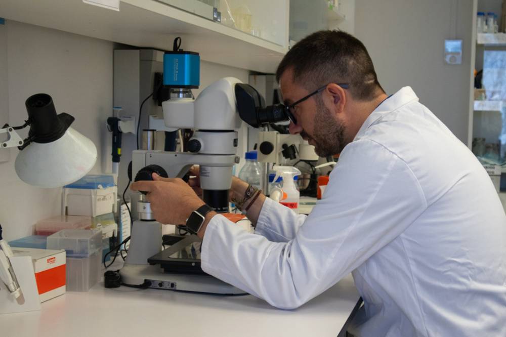 L’ICMAB-CSIC impulsa un projecte per desenvolupar un “GPS biològic” contra el càncer