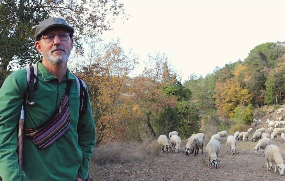 La defensa de l'ofici de pastor, també a Collserola