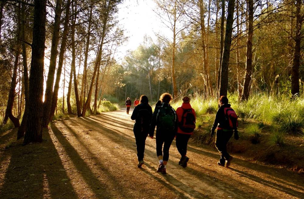 Solidaritat i esport amb el CEM: neix la Som Vallès Trail, caminada per equips, per relleus i per lluitar contra el càncer