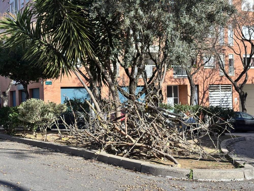 L’Ajuntament habilita un telèfon d’atenció per comunicar incidències derivades de la ventada d’ahir