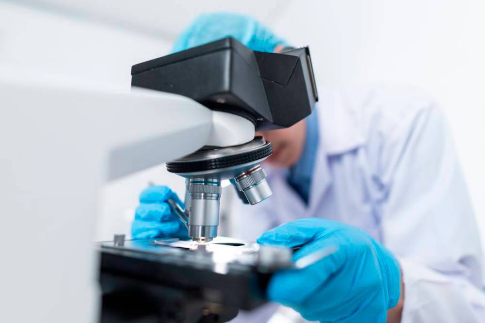 La UAB és la millor universitat d'Espanya en sostenibilitat i articles de docents i investigadors