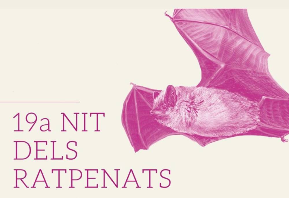 El Parc de Collserola celebra una nova edició de la Nit dels Ratpenats