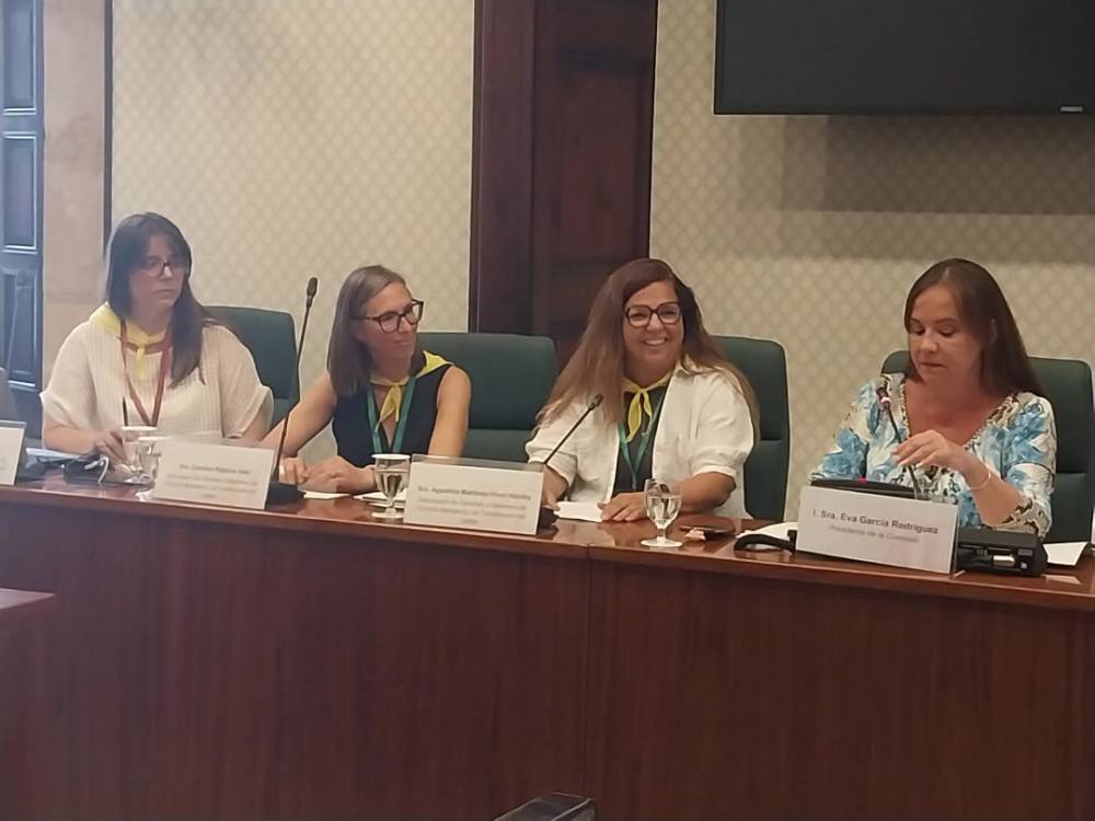 El Parlament aprova una Resolució instant al Govern a mantenir el bus de l'Escoleta