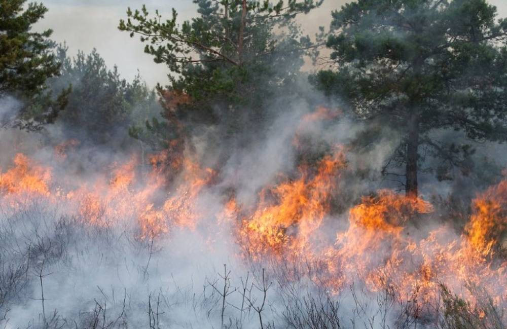 El risc d'incendi forestal continua sent extrem i s'agreujarà els propers dies
