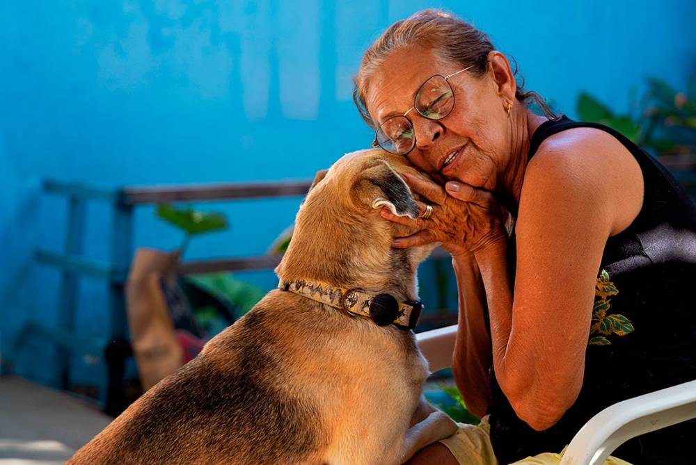 Un estudi de la UAB demostra la importància del suport emocional dels animals de companyia per a les persones vulnerables