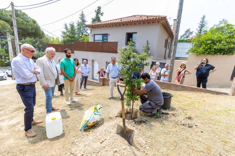 Bellaterra celebra el Dia Mundial de l’Arbre