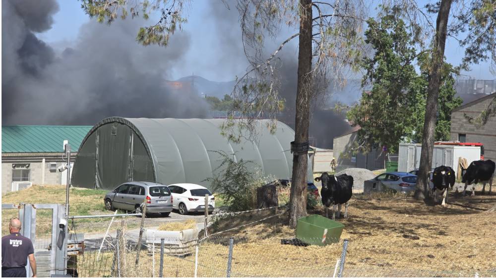 Un incendi fa evacuar el centre de recerca IRTA-CRESA del campus