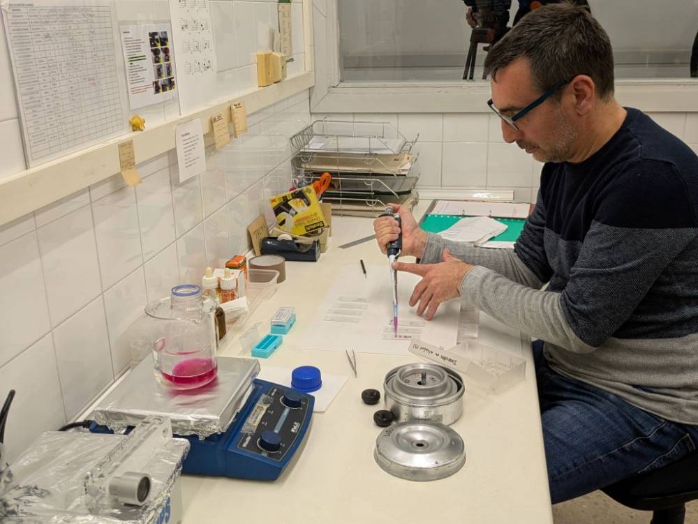 Les previsions apunten a una primavera dura per als al·lèrgics