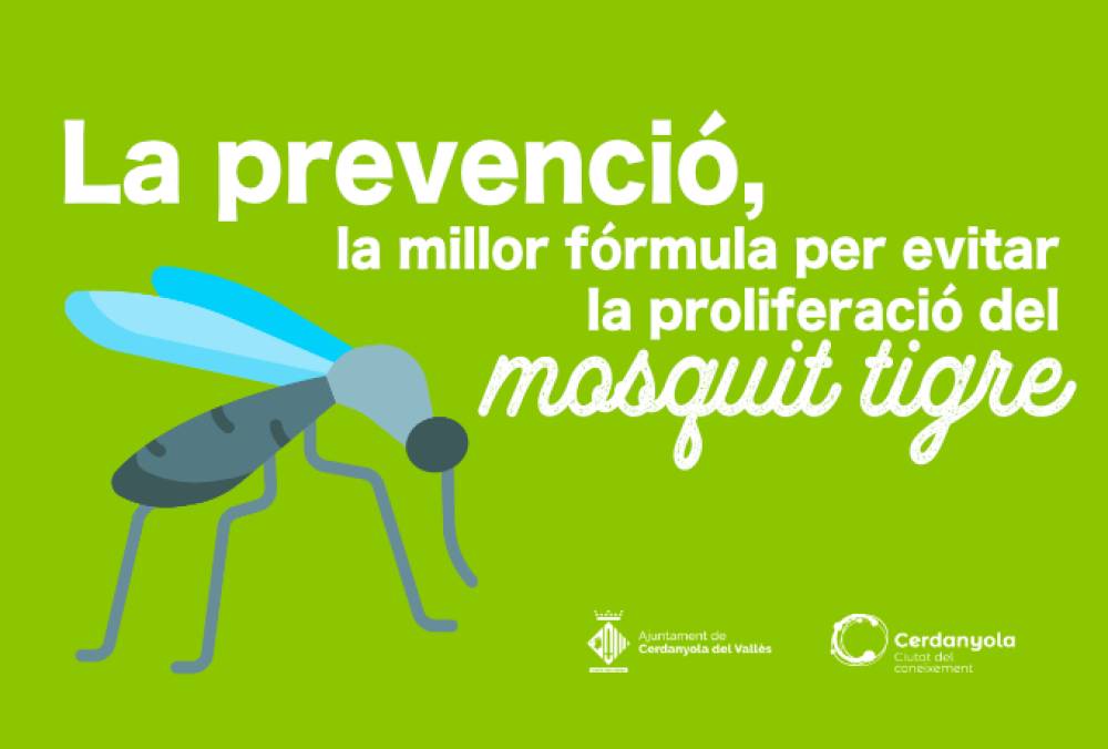 La prevenció, la millor fórmula per evitar la proliferació del mosquit tigre
