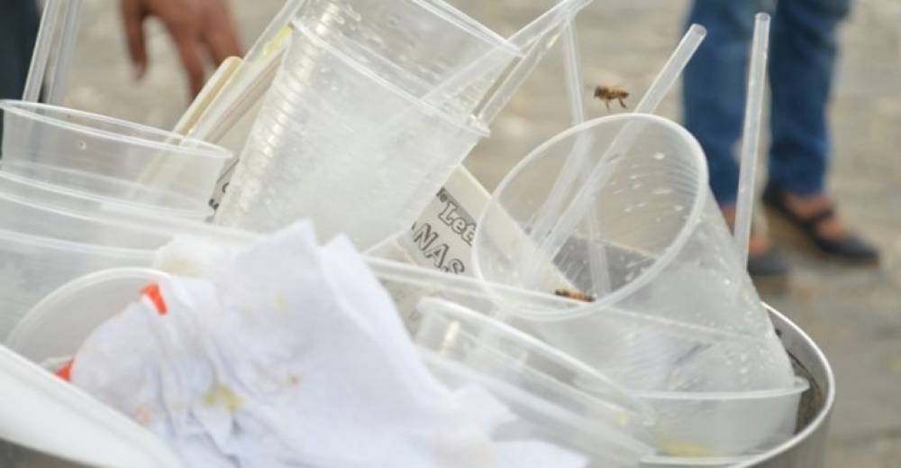 Gots biodegradables per a un Roser de Maig més sostenible