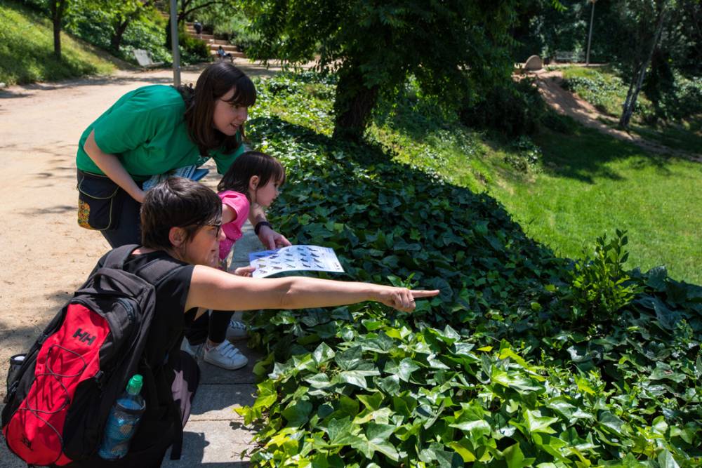 La Jugatecambiental del Turonet es suma al Bioblitz metropolità per inventariar espècies