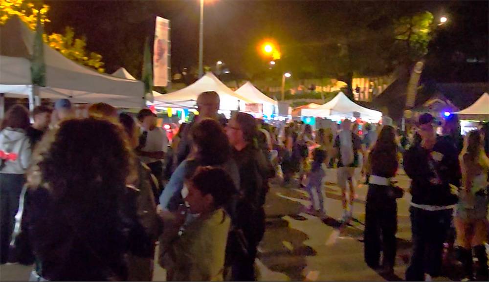 Guanyem denuncia dues agressions feixistes al Roser