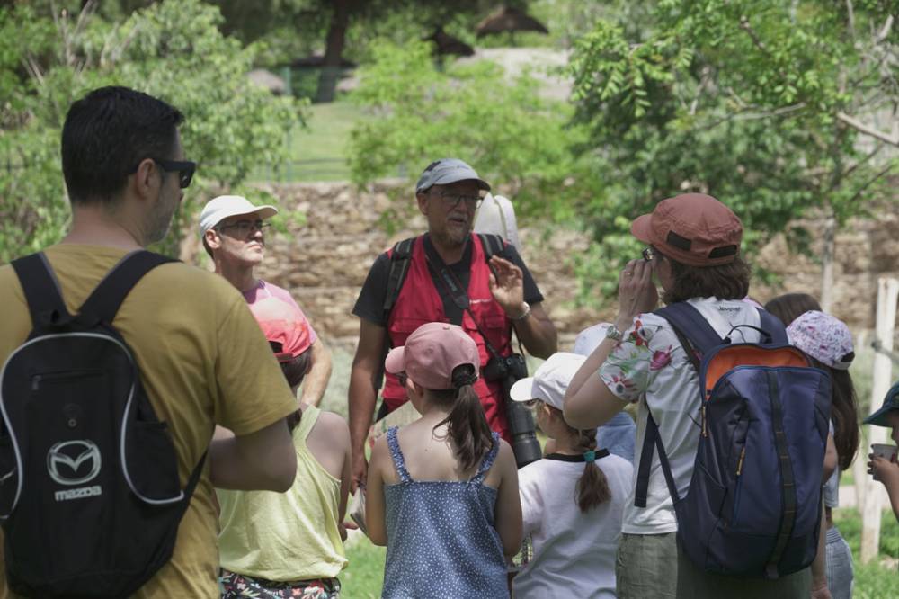 Cerdanyola es suma al Bioblitz Metropolità amb la Jugatecambliental