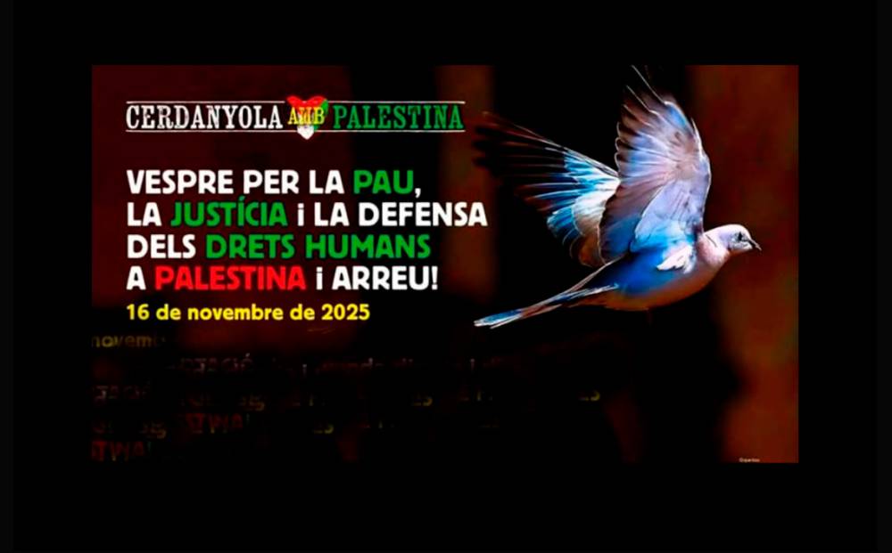 1.315 raons per agrair el suport al Vespre per la Pau