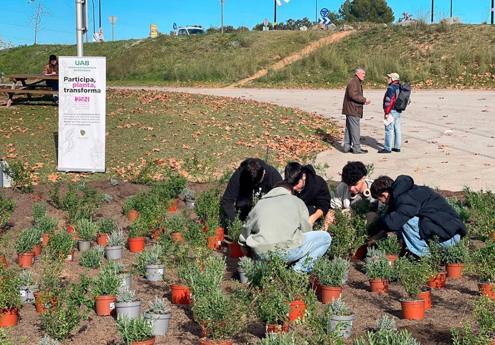 Flors liles al campus contra la violència contra les dones