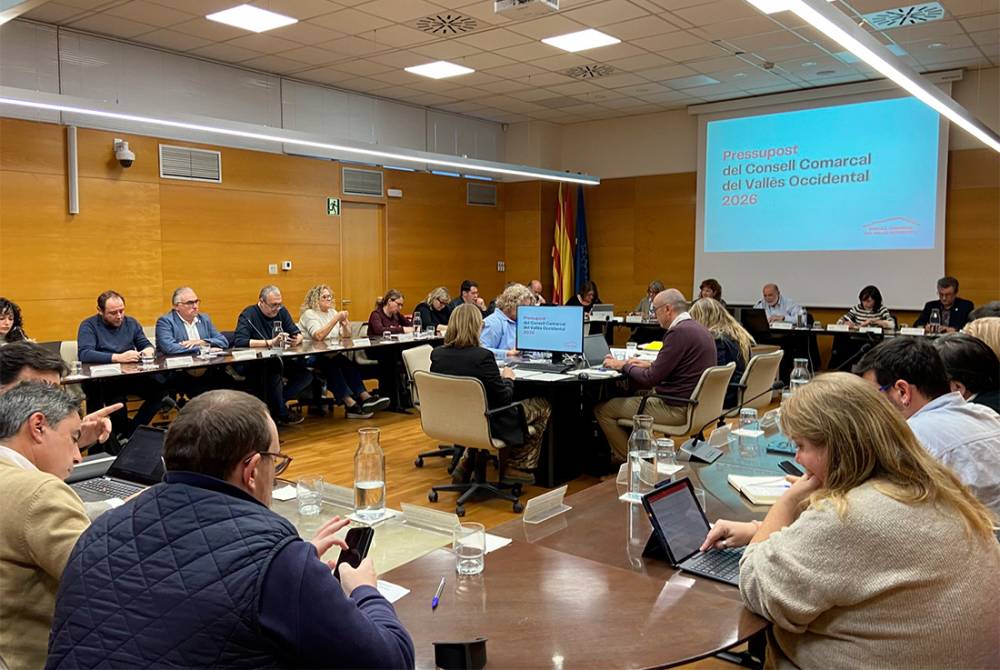 El Consell Comarcal aprova dos protocols per reforçar l’abordatge de les violències masclistes i LGTBI-fòbiques