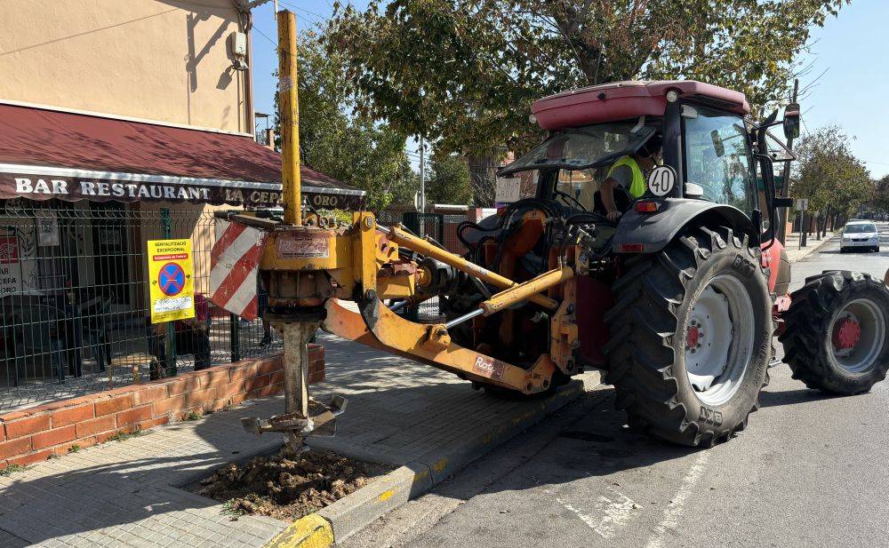 Segueixen els treballs de retirada de soques d'arbres