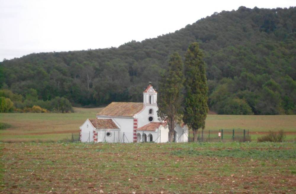 La Taula de Patrimoni analitza la situació de Collserola