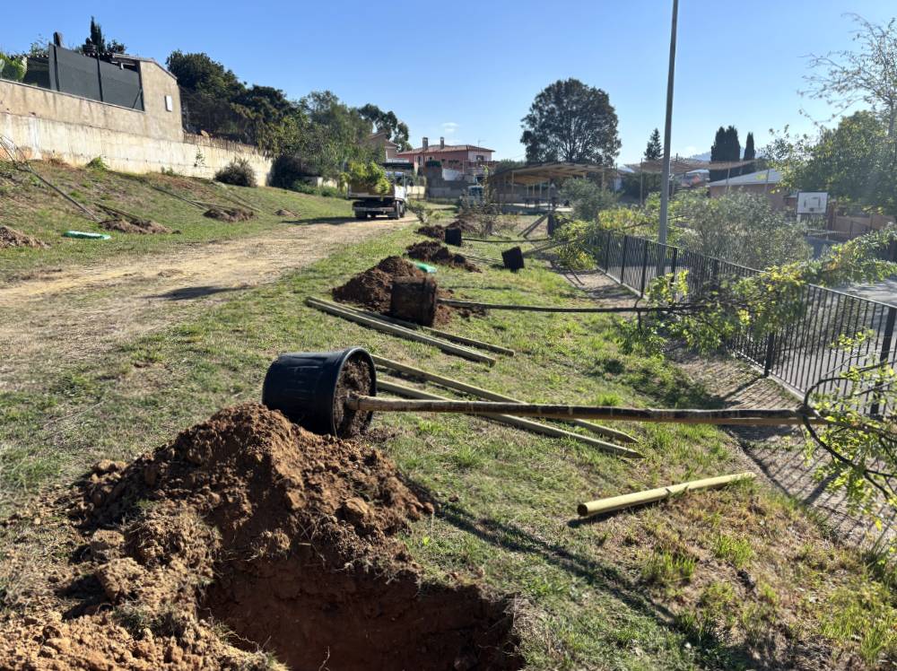 L’Ajuntament planta 132 arbres als centres educatius