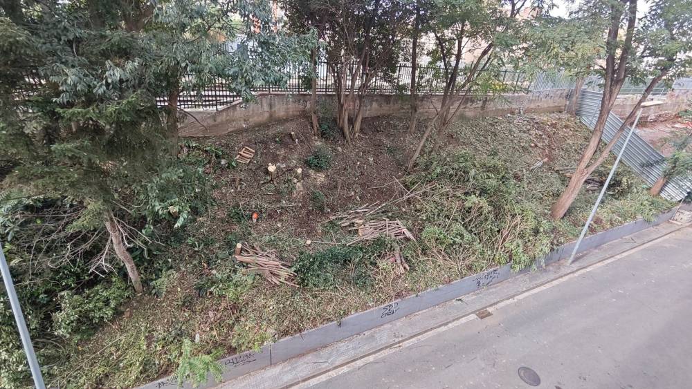 Veïns del carrer Salvador Espriu denuncien una tala d'arbres a tocar de les vies del tren per part d'Adif