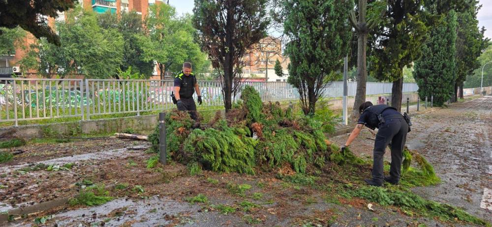 La forta tempesta arrossega branques i arbres per tot el municipi