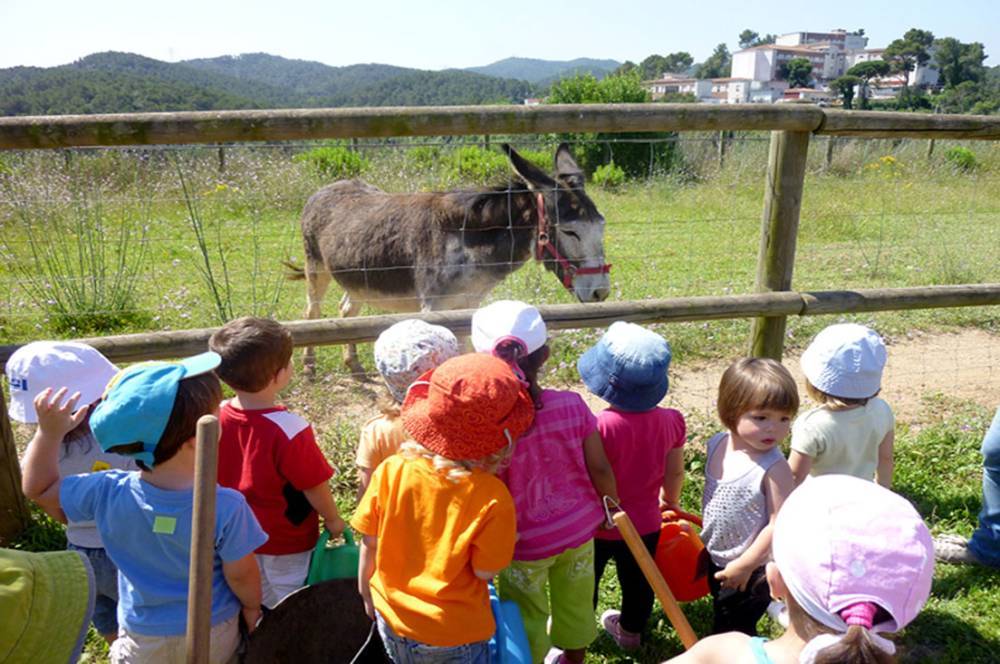 Collserola reobre les inscripcions al programa educatiu El Curs al Parc 2025-26