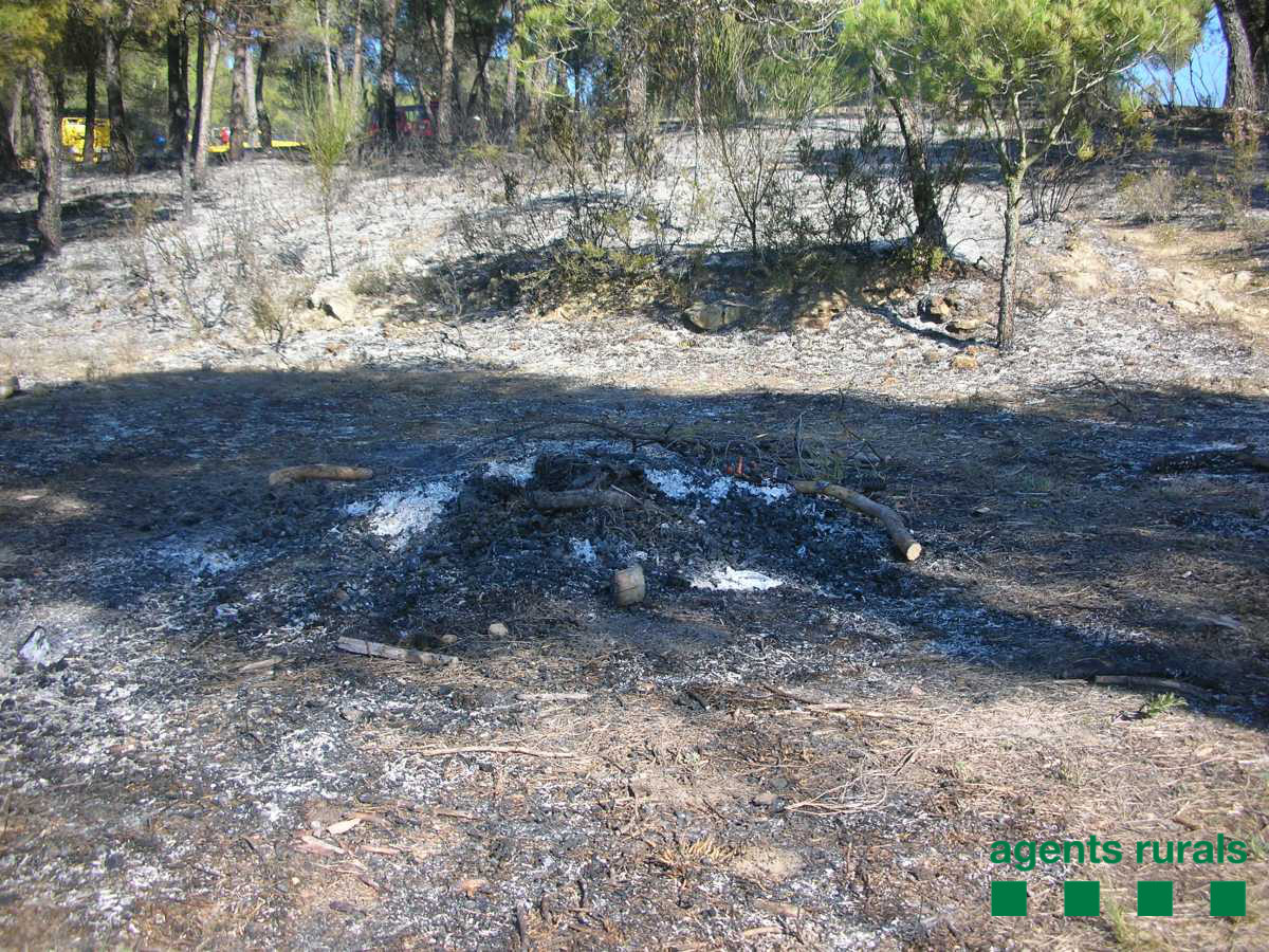 Comença el període de prohibició per fer foc al bosc