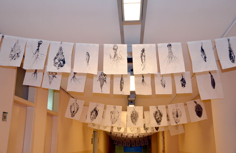 Exposició dels treballs de fi de curs de Plàstica Infantil