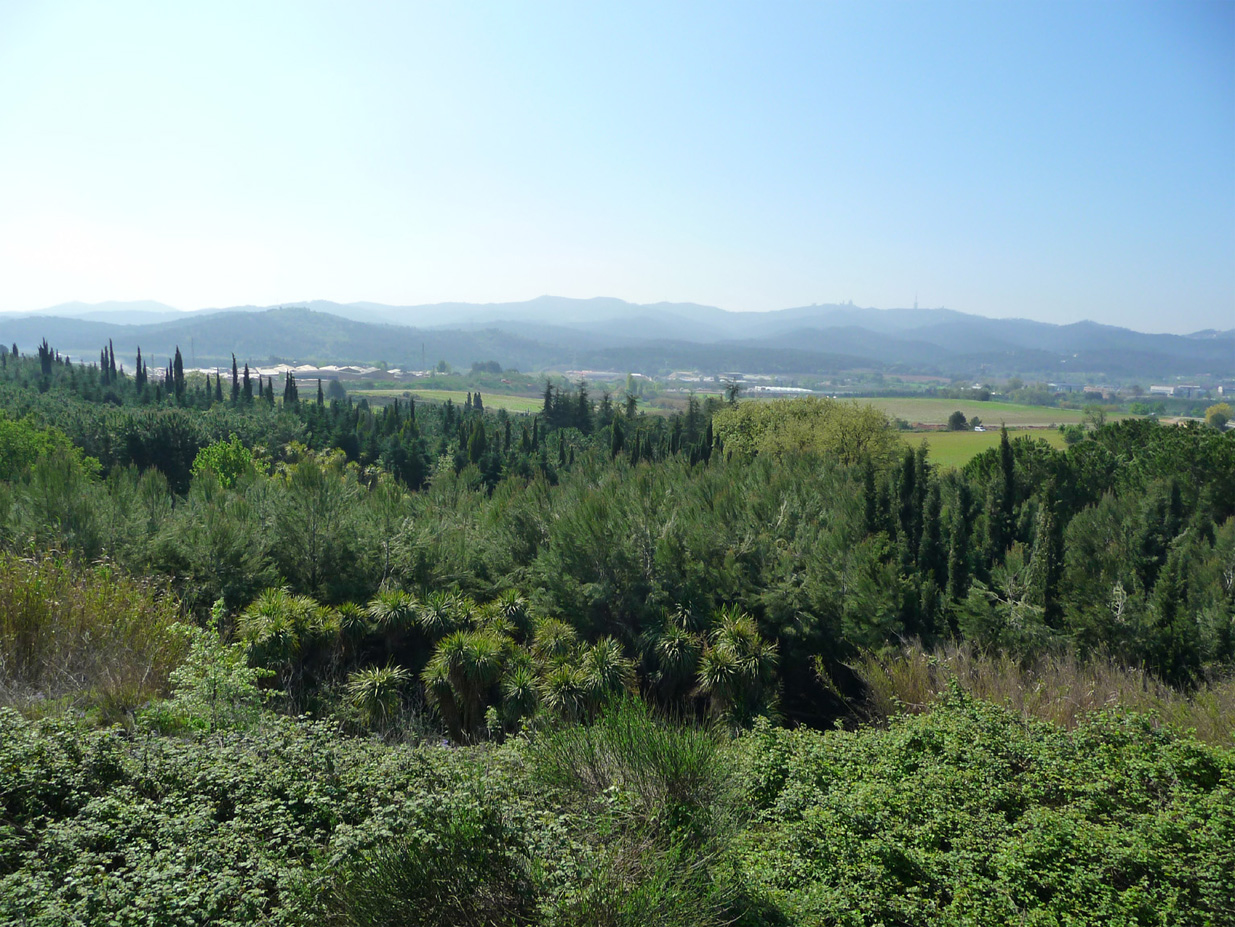 El Parc de Collserola dóna treball a 230 persones