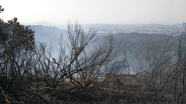 La carretera d'Horta s'obre al trànsit amb l'incendi totalment extingit