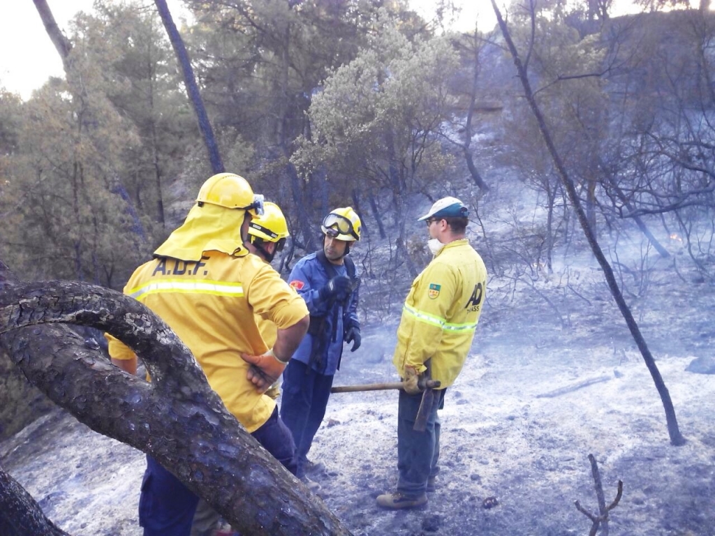 El Vallès es troba en zona de màxim risc d'incendi forestal