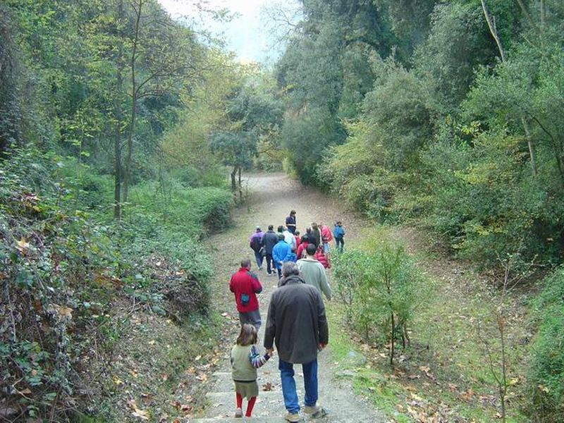Itinerari per redescobrir el Parc de Collserola