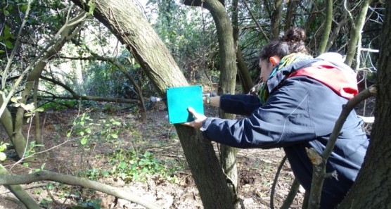 El Parc de Collserola posa en marxa un estudi d'ecologia acústica
