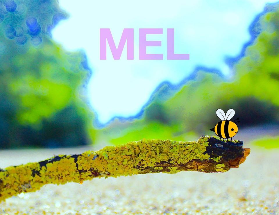 MEL editen nou disc, 'Abeja asesina'