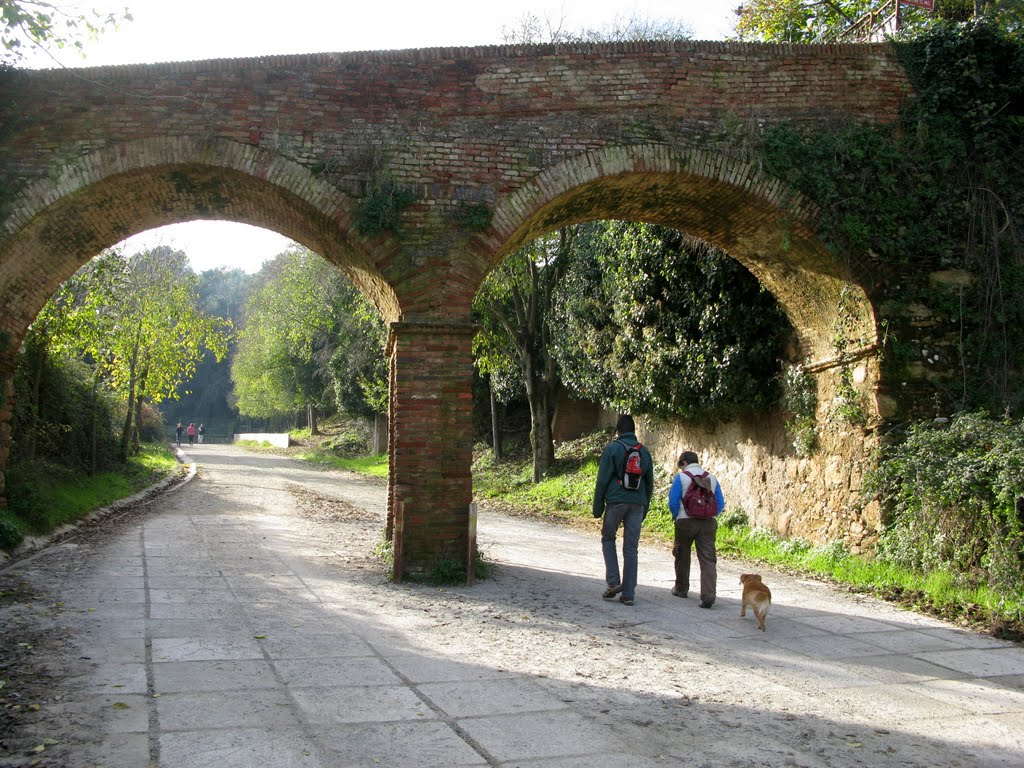 Obres de manteniment al camí de can Catà