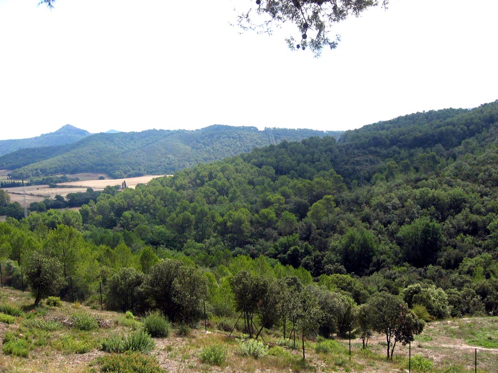 El Parc de Collserola celebra les Jornades Europees de Patrimoni