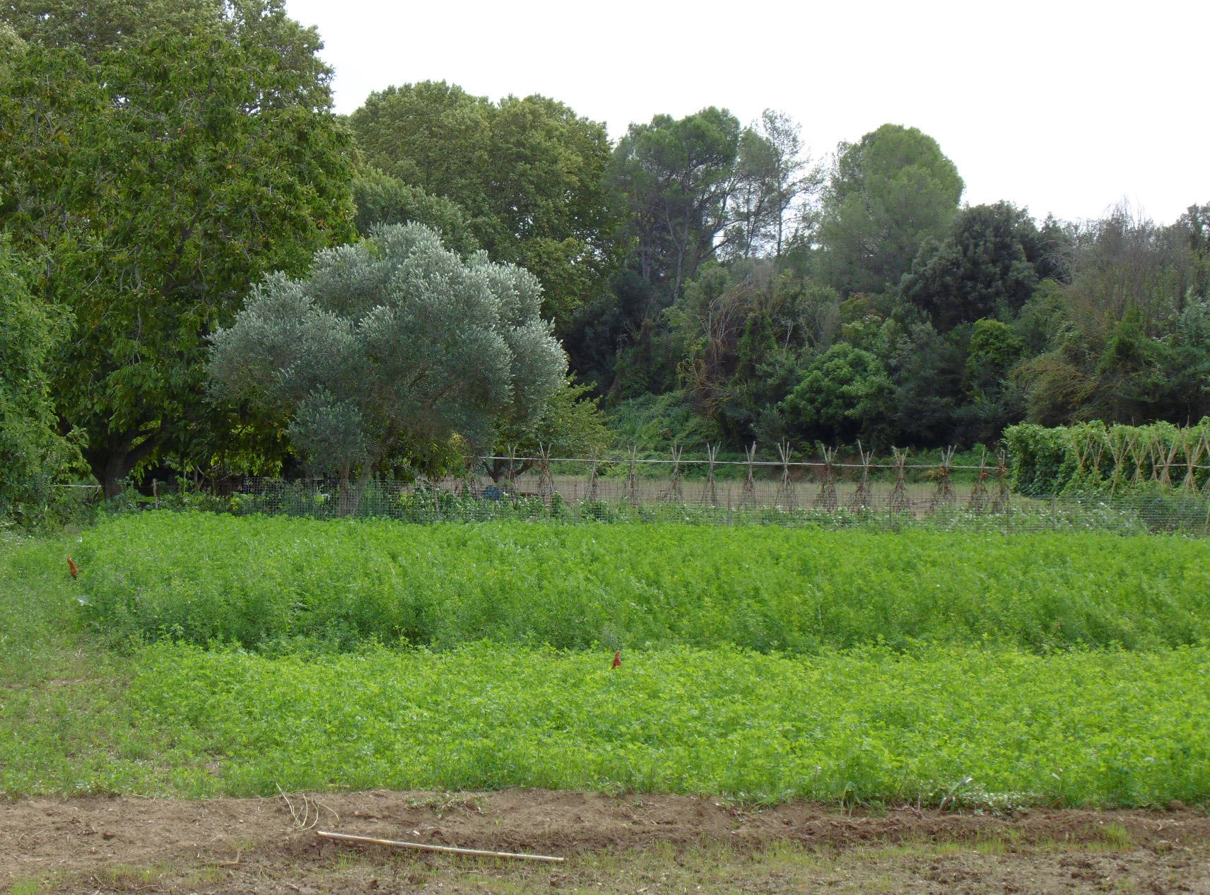 Els productes amb marca Collserola es comercialitzaran a inicis de 2016