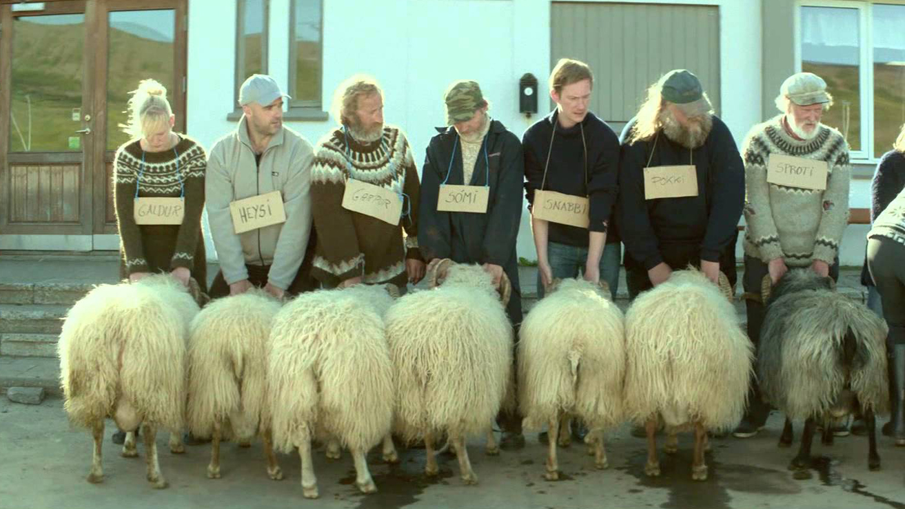 Xiscnèfils exhibeix "Rams" avui a l'Ateneu