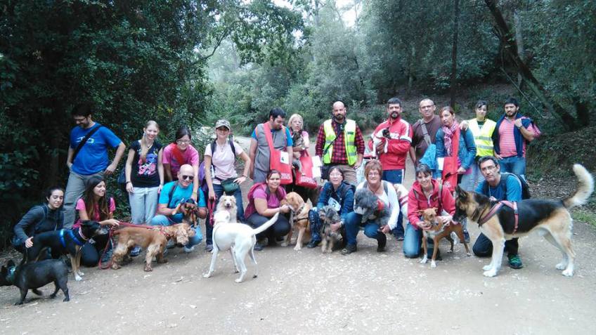 L’associació El Musell organitza la 6a Passejada Canina