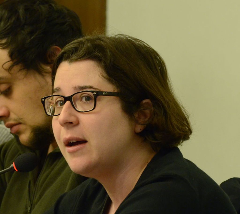 ICV-EUiA-MES no veu del tot necessari un govern de majoria absoluta per garantir l'estabilitat