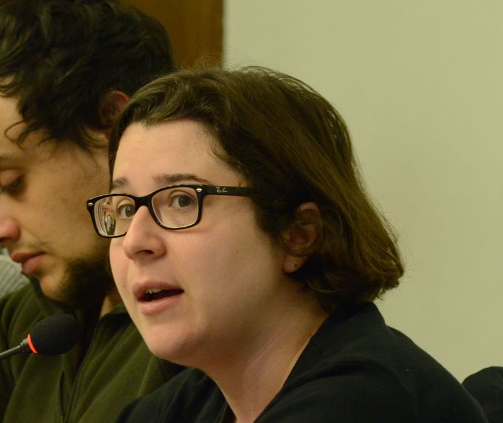 ICV-EUiA-MES signarà un acord de governabilitat en base a criteris polítics per garantir l'estabilitat